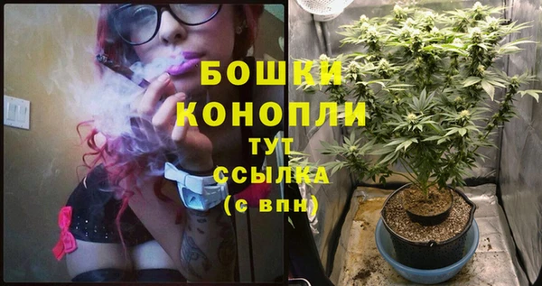 крисы Бронницы