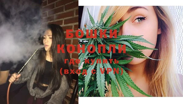 крисы Бронницы