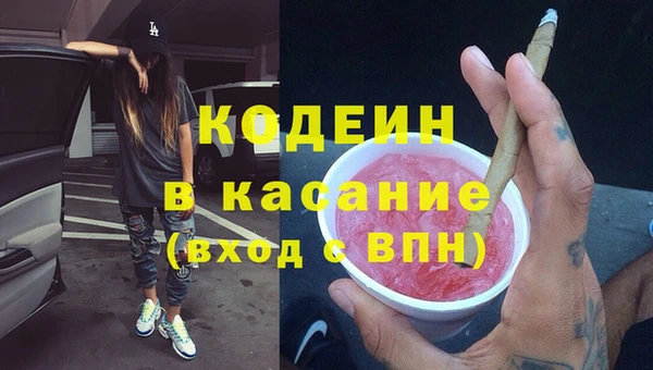 крисы Бронницы