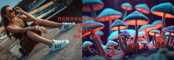 крисы Бронницы